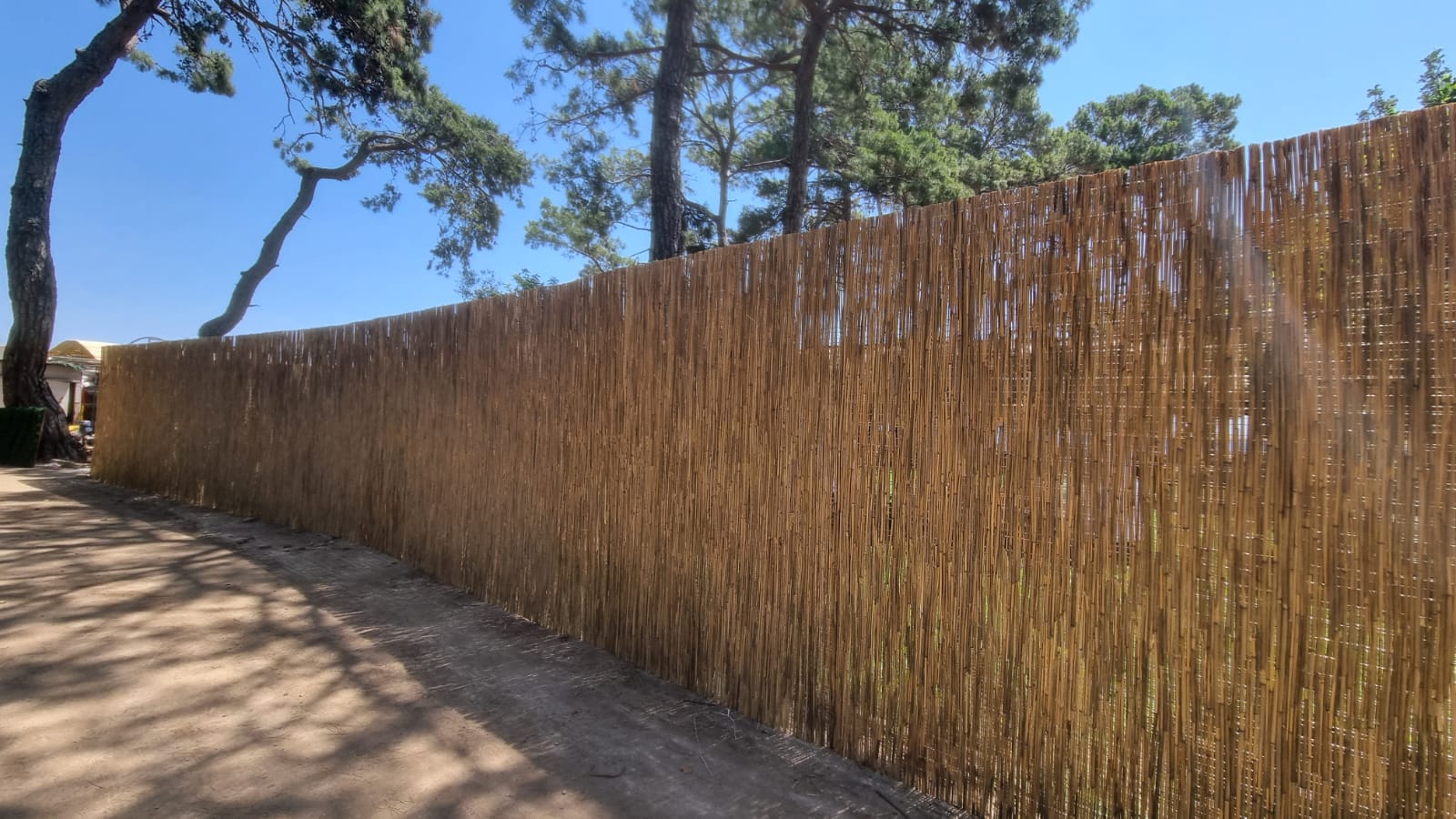 Dekoratif Bambu Çit